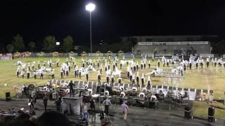 Tarpon Springs 20th Annual Outdoor Music Festival  TSHS Performance  Caged 2015 [upl. by Resiak]