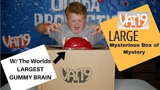 The Vat19 LARGE Mysterious Box of Mystery Contents Updated 91117 [upl. by Niwle]