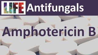 Amphotericin B [upl. by Sofie]