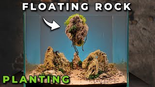 The Floating Rock  StepbyStep Aquarium Setup part 2  Planting [upl. by Sculley79]