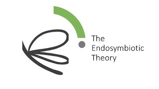 Evolution Endosymbiotic Theory [upl. by Peters]