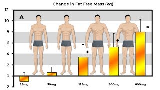 Exactly How Much Muscle Does 25mg 50mg 125mg 300mg amp 600mg Of Testosterone Build [upl. by Yesdnik]