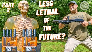 How Lethal Are Less Lethal Rounds  Part 2 [upl. by Ulises]