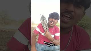 Birthday per Goli chalegi song music india desi love newsong 😂🤣🤣😂😂 [upl. by Bolling]