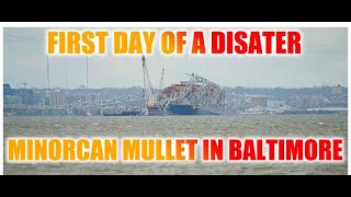 MV Dali and Bridge Collapse Report from Baltimore Environmental Cleanup Begins [upl. by Merriam459]