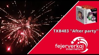 TXB483 fejerverkai 2024 fejerverkaiinternetult [upl. by Elamrej]