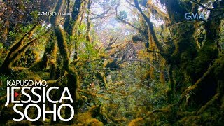 Kapuso Mo Jessica Soho Nakamamanghang mossy forest sa Compostela Valley [upl. by Arikehs]