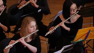 Festivo  Edward Gregson National Youth Concert Band 2019 [upl. by Fesoj194]