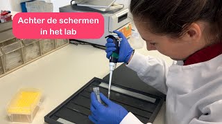 Achter de schermen in het lab met onderzoeker Nienke  Hersenonderzoeknl [upl. by Medea288]