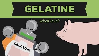 What is Gelatine Gelatin  Jello [upl. by Haidadej]