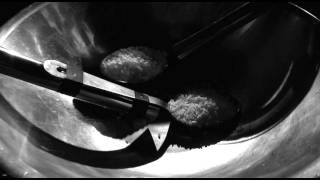 Long Handled Spoons Full Film [upl. by Nnybor]