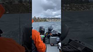 Fishing Blackmouth Chinook in March South Puget Sound [upl. by Thurnau]