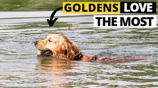 9 Things Golden Retrievers Love the Most [upl. by Ancalin147]