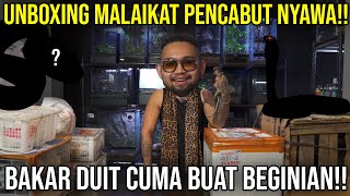 UNBOXING MALAIKAT PENCABUT NYAWA BAKAR DUIT CUMA BUAT BEGINIAN indoexotic [upl. by Anirdua]