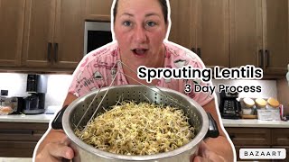 How to Easily Sprout Lentils at Home StepbyStep Guide [upl. by Dimah]