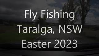 Fly fishing for trout NSW Southern Highlands [upl. by Pippa705]