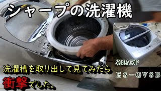 槽洗濯槽の掃除は結局これが1番＜※かなり汚れてる映像が出ます＞ [upl. by Sellma45]