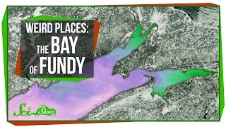 Weird Places The Bay of Fundy [upl. by Olyhs]