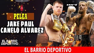 Condiciones para la PELEA entre JAKE PAUL y CANELO ALVAREZ El Barrio Deportivo [upl. by Nerb846]