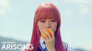 4K60FPS cignature  ARISONG MV [upl. by Alyakcm]