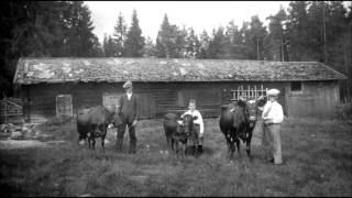 Svensk folkmusik  Låt Till Far [upl. by Maxie]