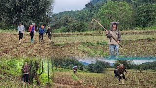 I went to the forest to dig bamboo shoots and plant corn [upl. by Aidahs676]