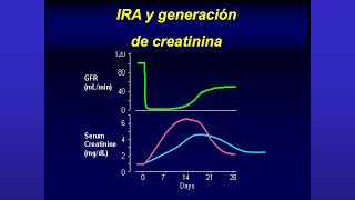 Injuria renal aguda [upl. by Yrok]