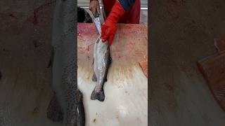 Quick amp Easy Way To Clean a Trout [upl. by Remsen719]