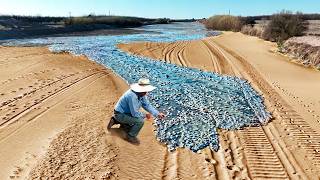 Momentos en la Naturaleza Que Ocurren una Vez Entre Mil Millones [upl. by Kolnick]