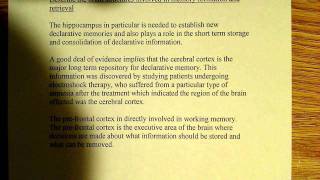 Structures involved in memory formation and retrieval [upl. by Emilio]