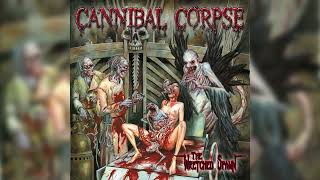 Cannibal Corpse  quotThe Wretched Spawnquot Full album [upl. by Franciskus]