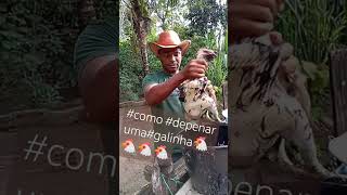 COMODEPENAUMAGALINHA🐔🐔 shortes humor🐔🐔granja [upl. by Marozas]