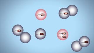 Droplet Digital PCR for Food Testing [upl. by Mandal]