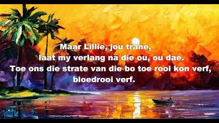 Theuns Jordaan  Sal Jy Bly Lyrics [upl. by Lasorella]