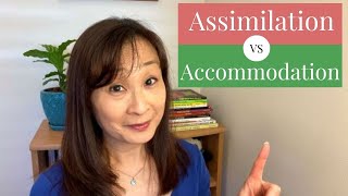 Assimilation vs Accommodation [upl. by Bendick]