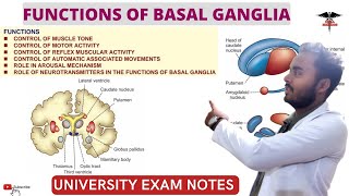 Functions of Basal Ganglia Connection of Basal Ganglia  CNS Physiology [upl. by Eninnej]