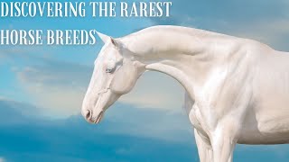 The Rarest Horse Breeds in the World [upl. by Magner384]