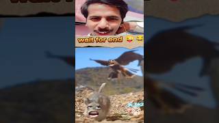 viralvideo Chuhe Ki Jaan khatre mein 😱😂🤣 funny comedy trending shortsvideo comedyskit [upl. by Av]