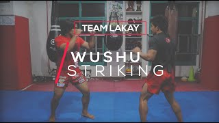 WUSHU  Basic Wushu Striking Techniques  Team Lakay Instructional [upl. by Dnesnwot]