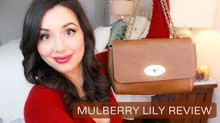 Mulberry Lily Handbag Review [upl. by Nurav]