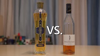 接骨木花利口酒  便宜的与贵的有什么区别？ Elderflower Liqueur Review  St Germain VS Giffard [upl. by Anaeerb]