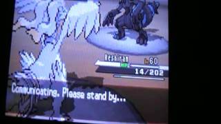 zekrom vs reshiram [upl. by Rufe]