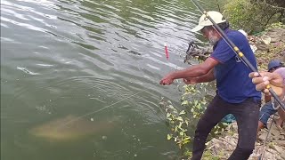 Beautiful river scape catching big rohu fishes with single hookawesome fishing video [upl. by Chere560]