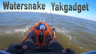 Watersnake T24 on YAKGADGET Pod mount Bonafide SS127 [upl. by Delmor]