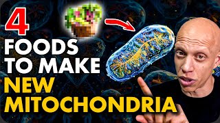 4 Foods to Make New Mitochondria Scientific Proof  Mastering Diabetes [upl. by Hassin]