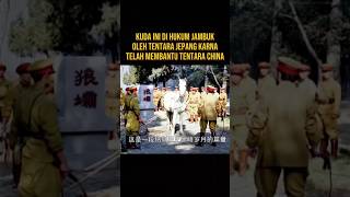 KUDA INI DI HUKUM TENTARA JEPANG KARNA TELAH BERKHIANAT alurceritaflim film [upl. by Urissa]