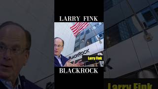 Larry Fink  BlacRock [upl. by Mascia610]