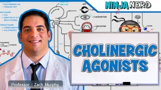 Autonomic Pharmacology  Cholinergic Agonists [upl. by Cohlier]