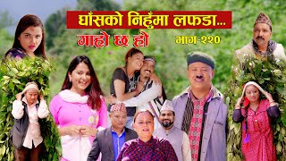 घाँसको निहुमा लफडा IIGaro Chha HoII Epi 220IISept 16 2024 IIBegam Sundari Nawina Binod Rajkumar [upl. by Dorsy]