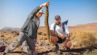 Viví con un Cazador de Serpientes en Marruecos [upl. by Giltzow585]